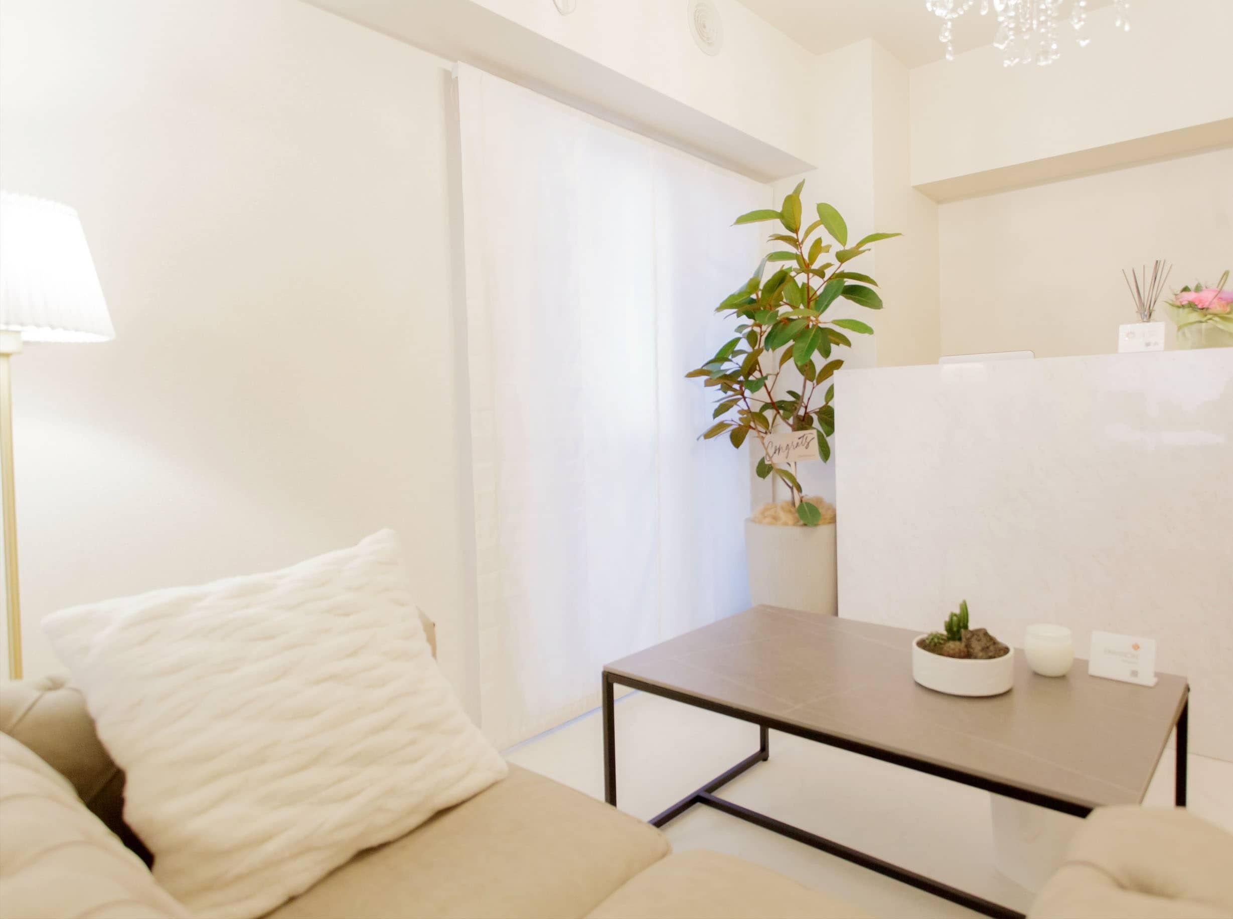 全身やVIOの脱毛、フェイシャルメニューでお肌をきれいへと導く町田市の「ECXIA salon」